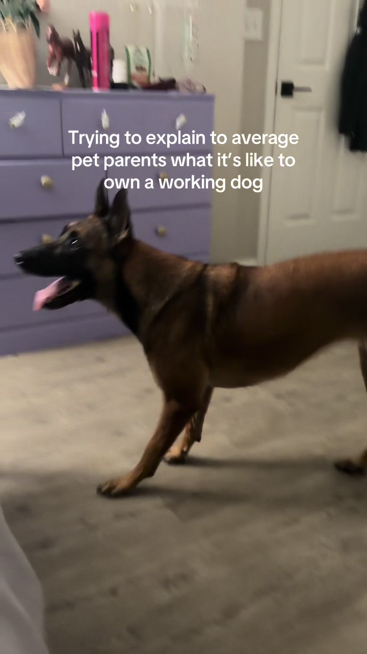 @driven.k9s