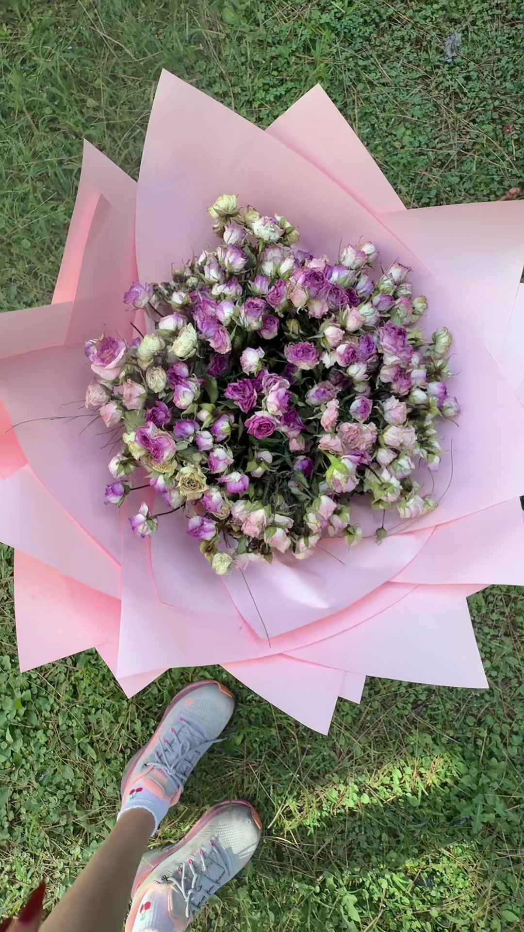 @Begüş🧚♀️
