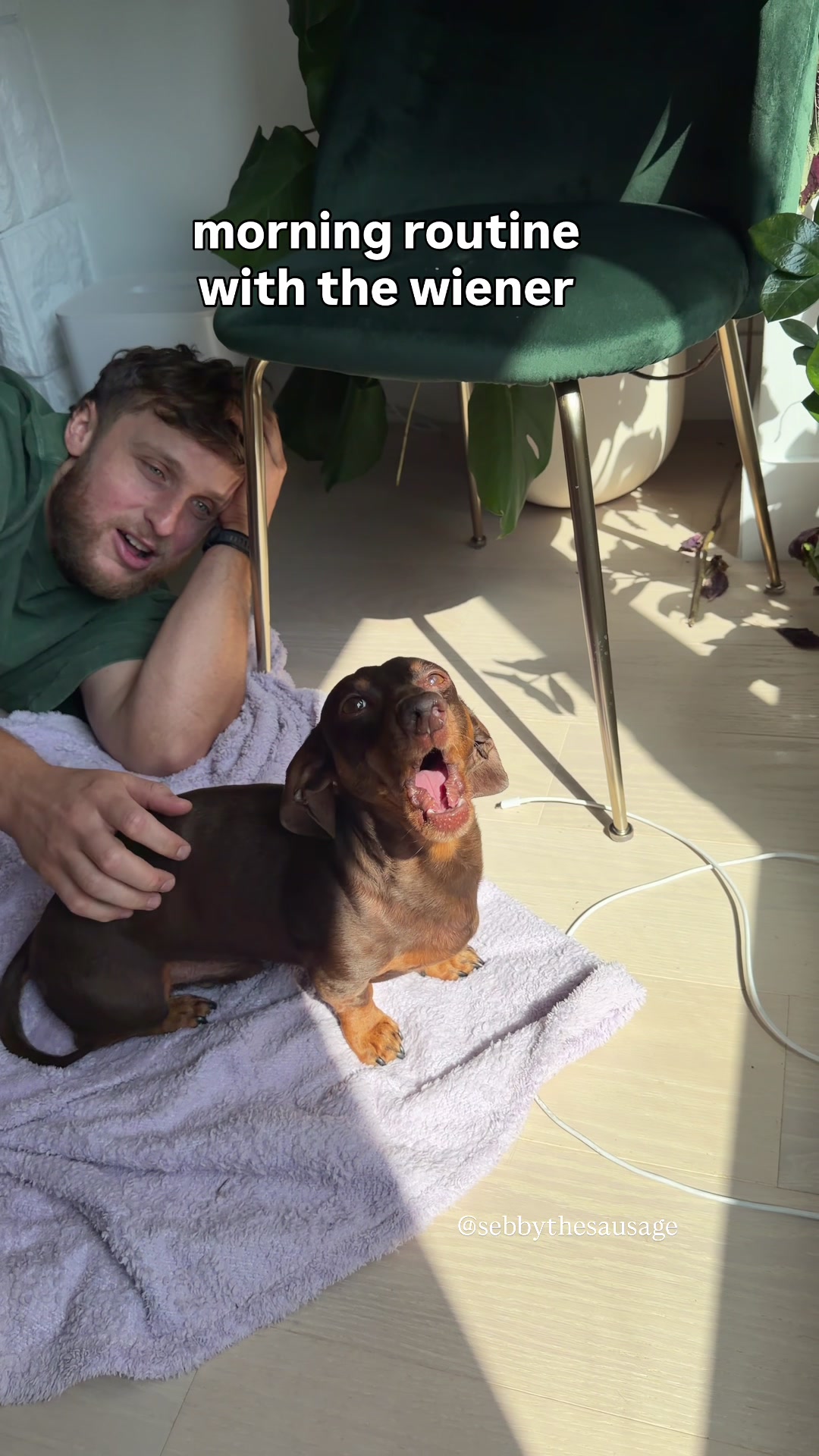 @sebbythesausage