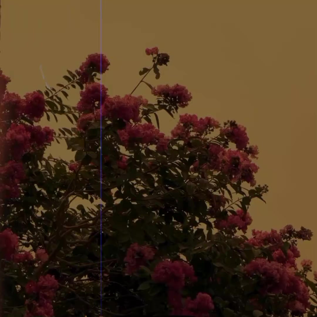 @♥︎𝐀_𝐌𝐈𝐑𝐑𝐀♥︎