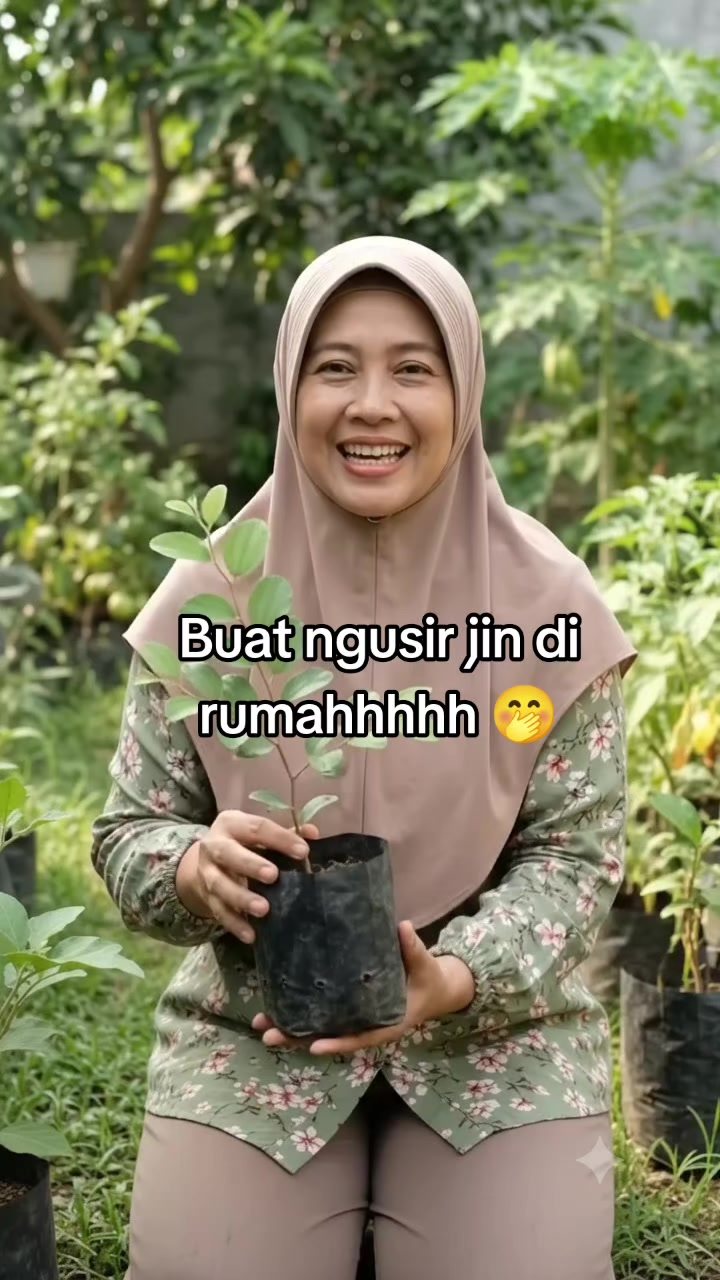 @𝘽𝙚𝙡𝙖𝙠𝙖𝙣𝙜𝙋𝙞𝙣𝙩𝙪 🛍