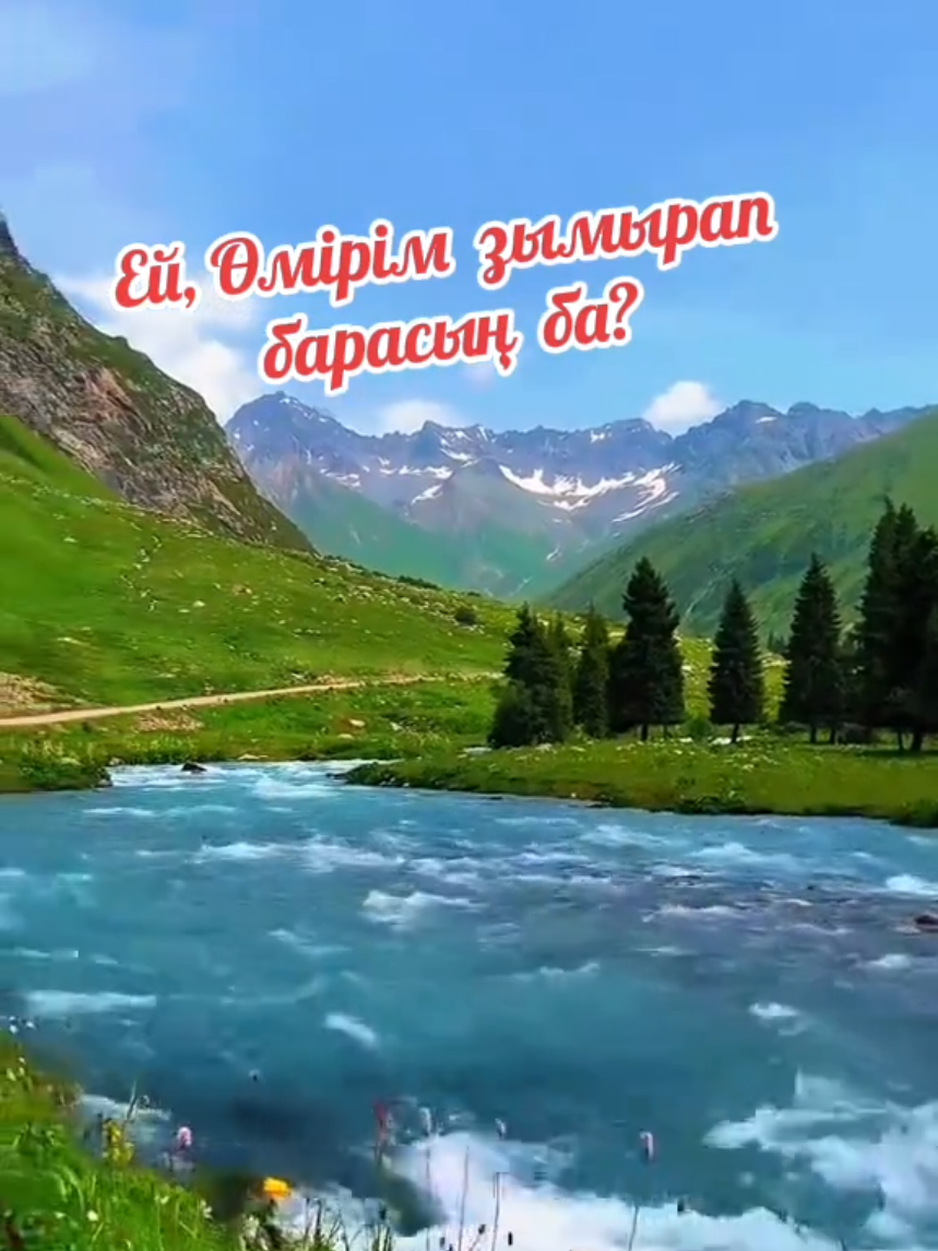 @Зулхумар Курбанбекова⭐️⭐️🔥
