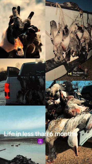 @wyatthodges