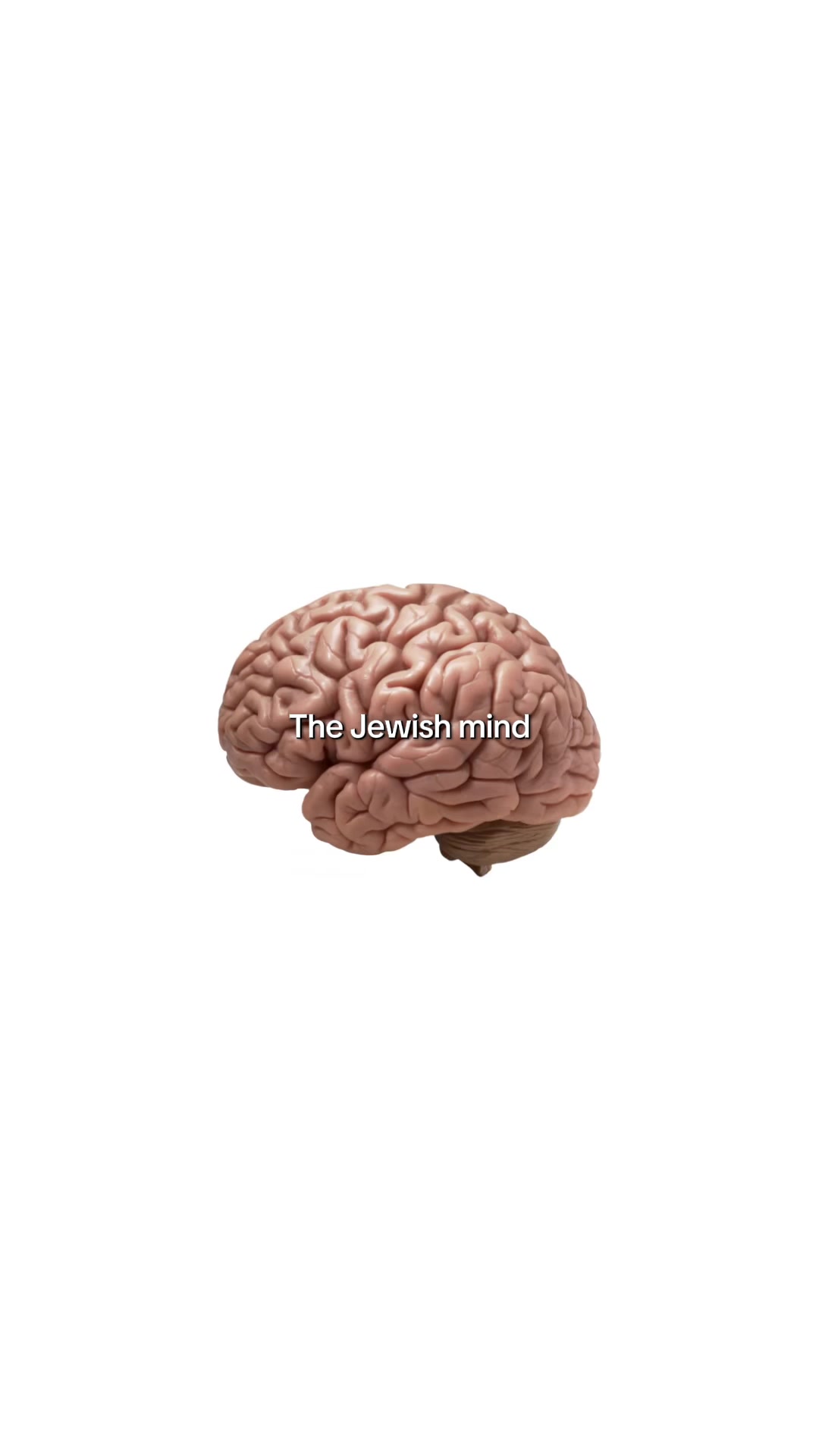 @jonathan ✡︎ 𐤉𐤄𐤅𐤍𐤕𐤍