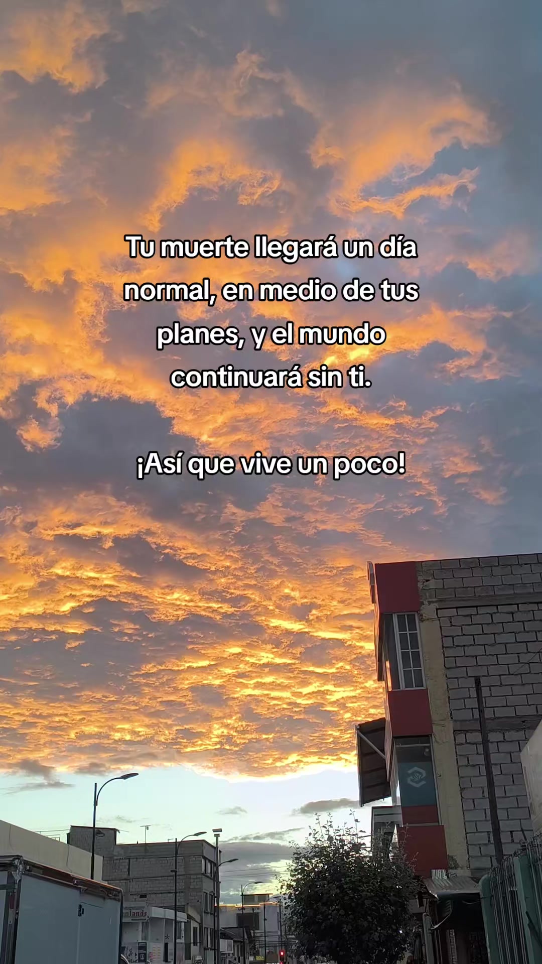 @Dulce Alexiita