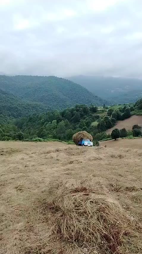 @dadaşov__475