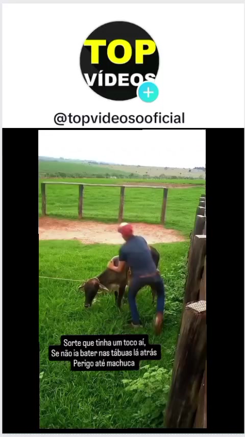 @TOP VIDEOS
