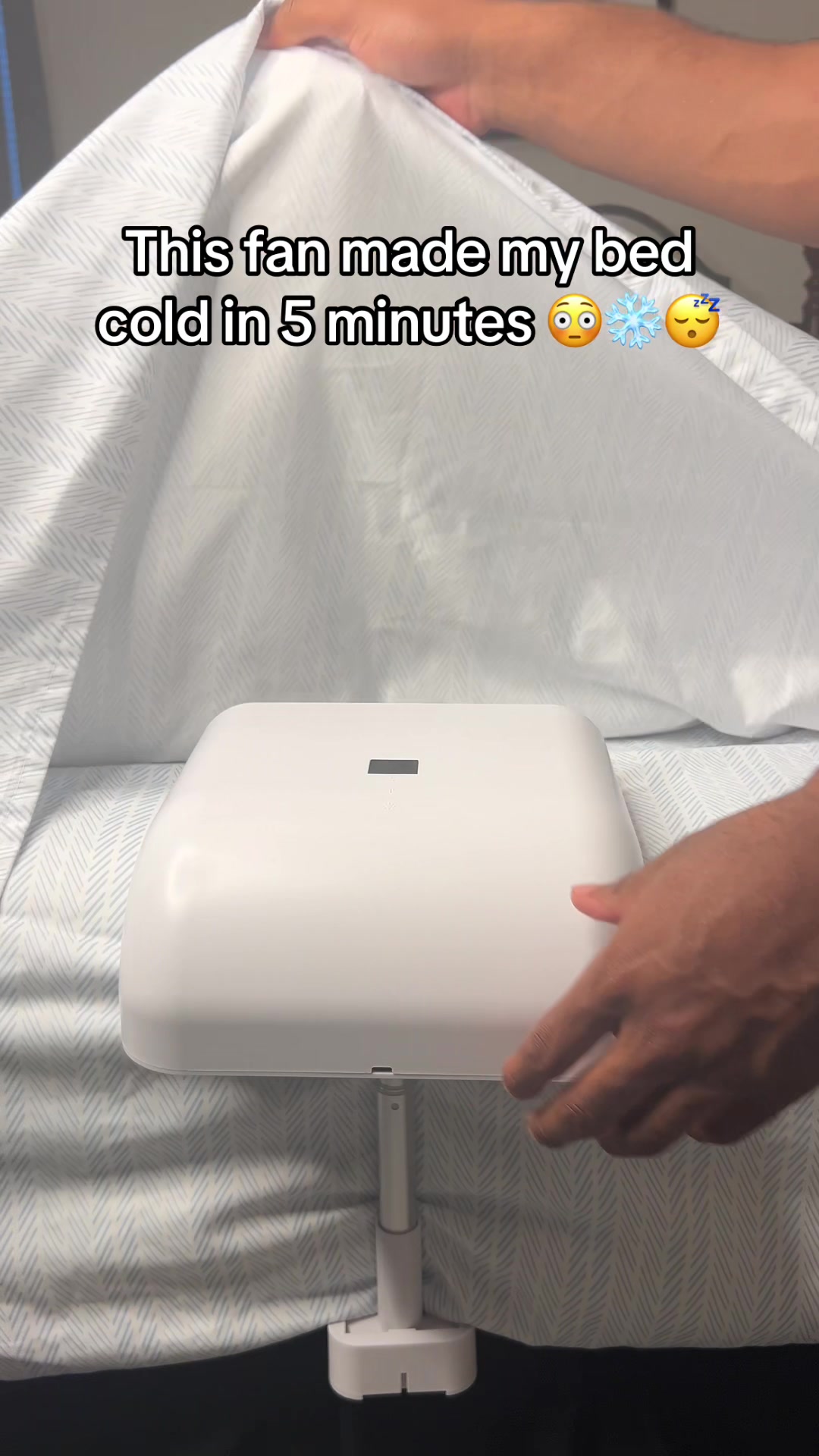 @RoseBloom