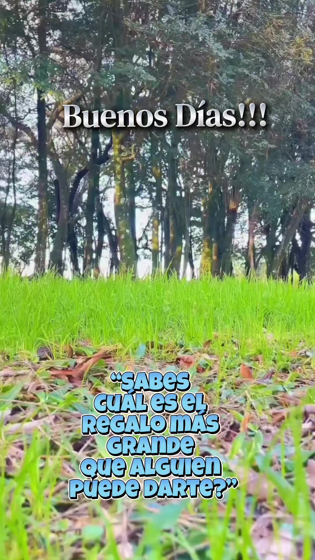 @NOEMÍ