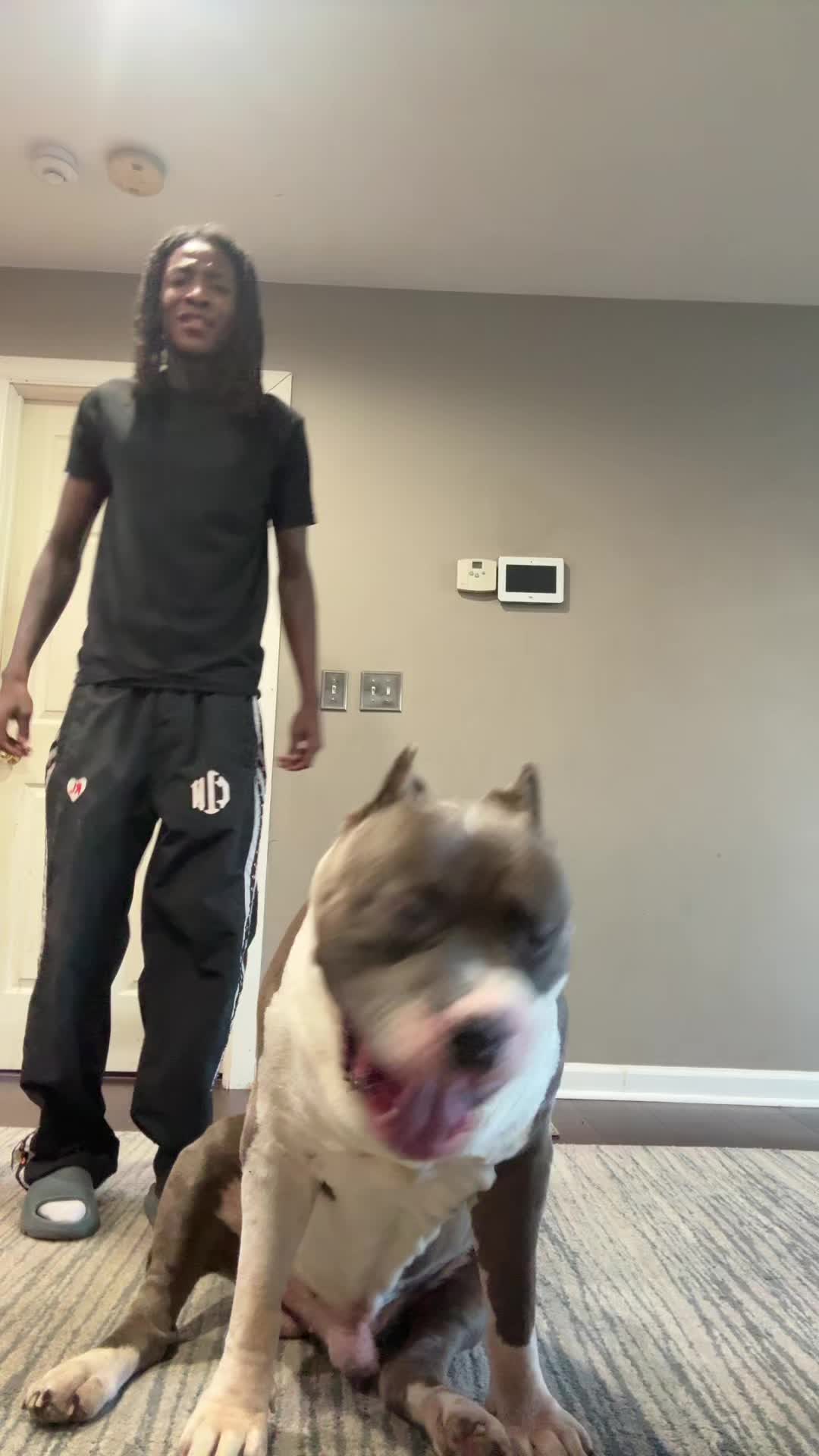 @ZWOP