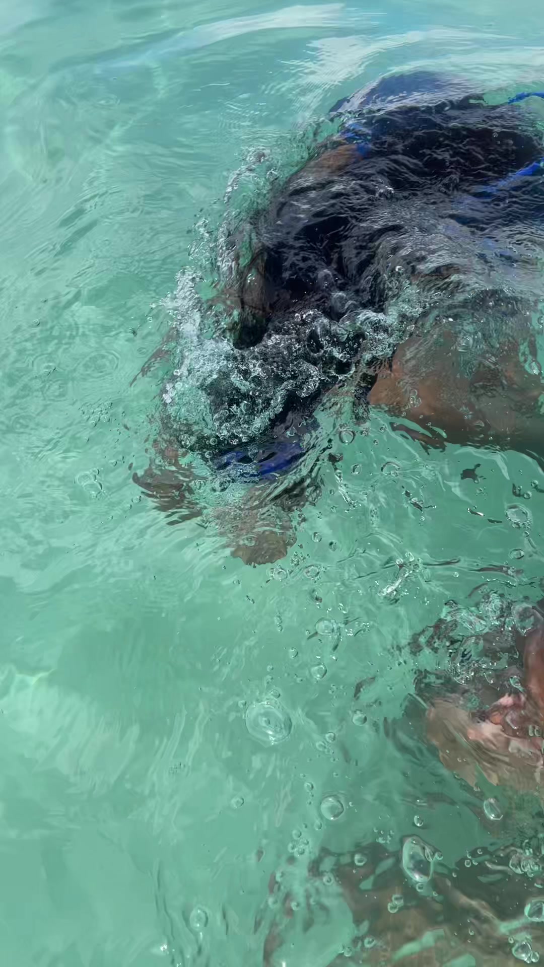 @Mar.🌊