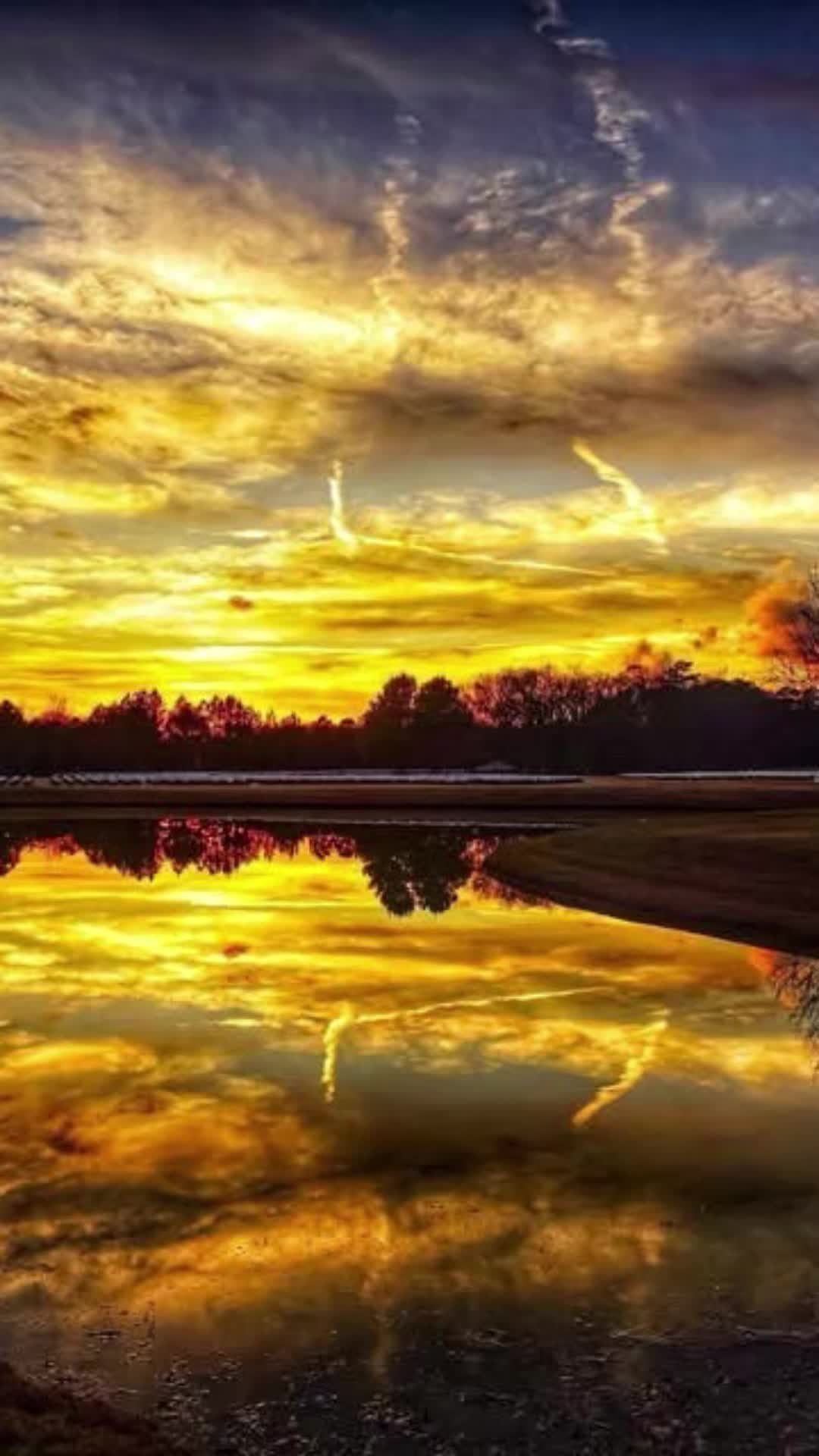 @TTVRipForYou