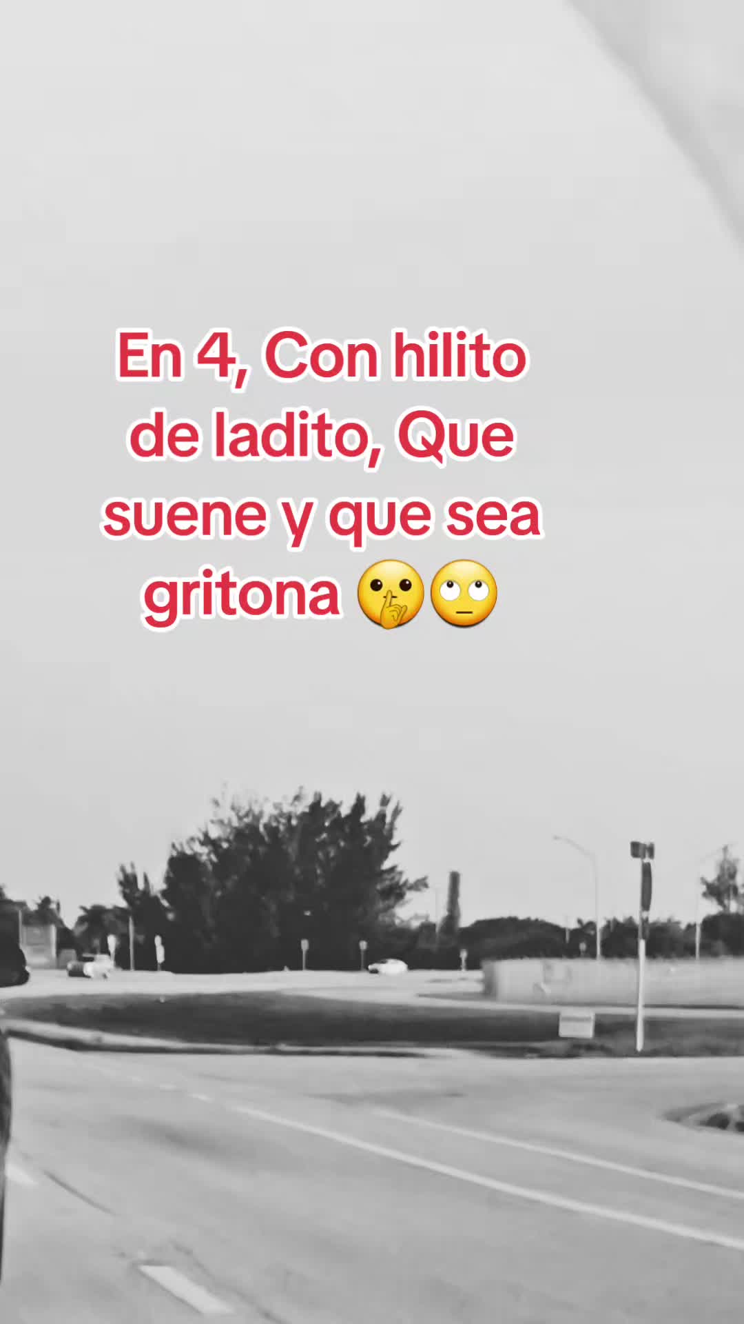 @Gabrielito 502