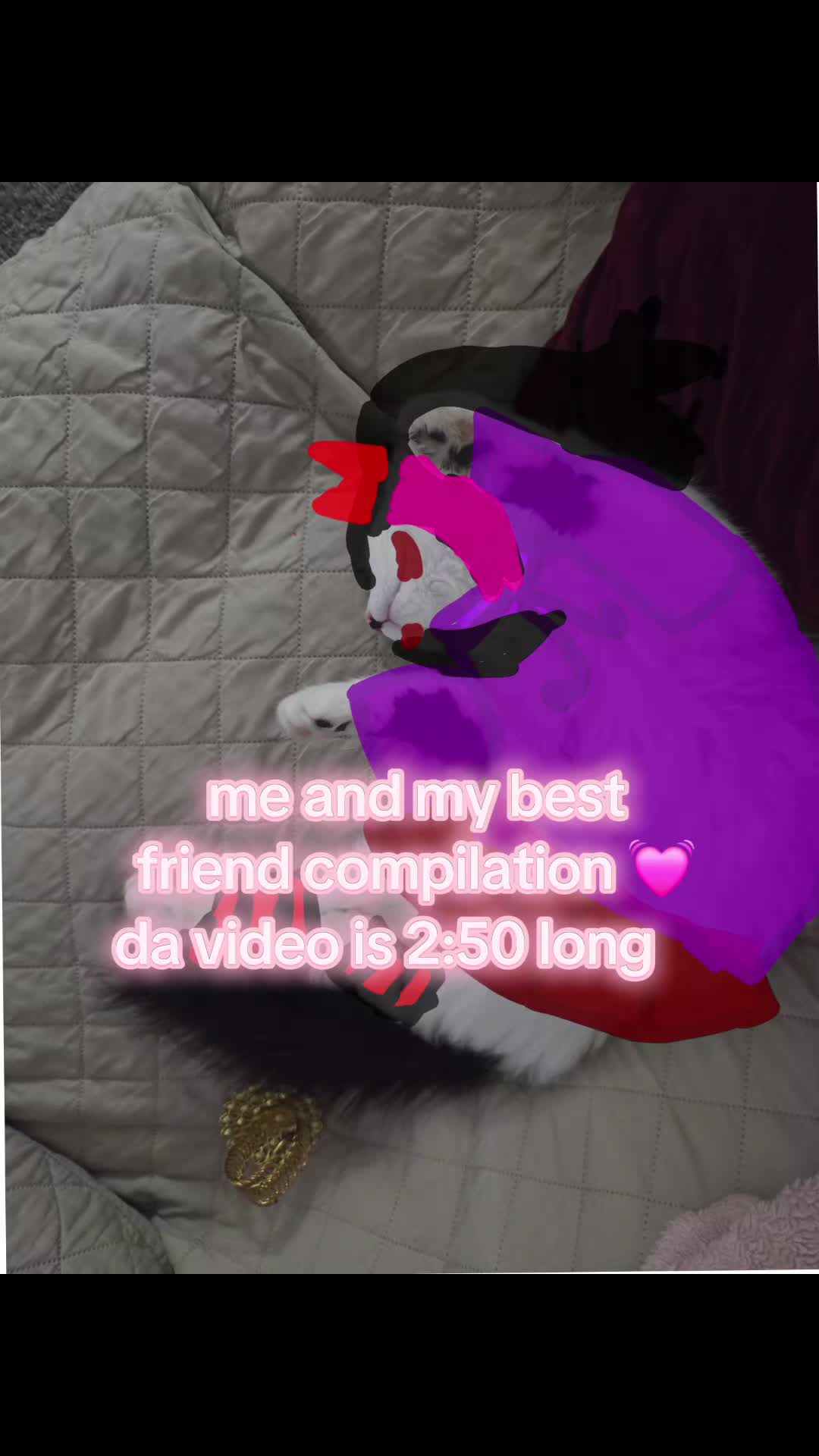 @๐๐พ๐บ๐ธ ๐๐ฐ๐๐๐พ๐พ๐๐ท
