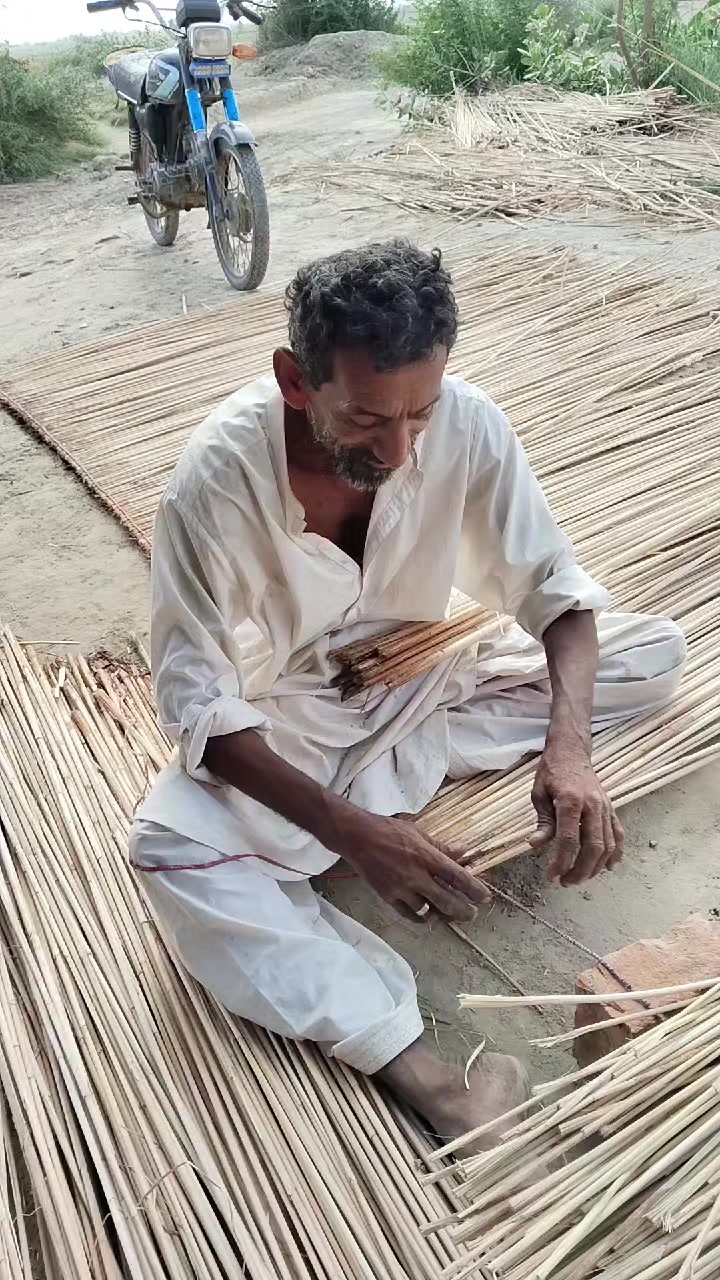 @Farhan Ali Udhejo
