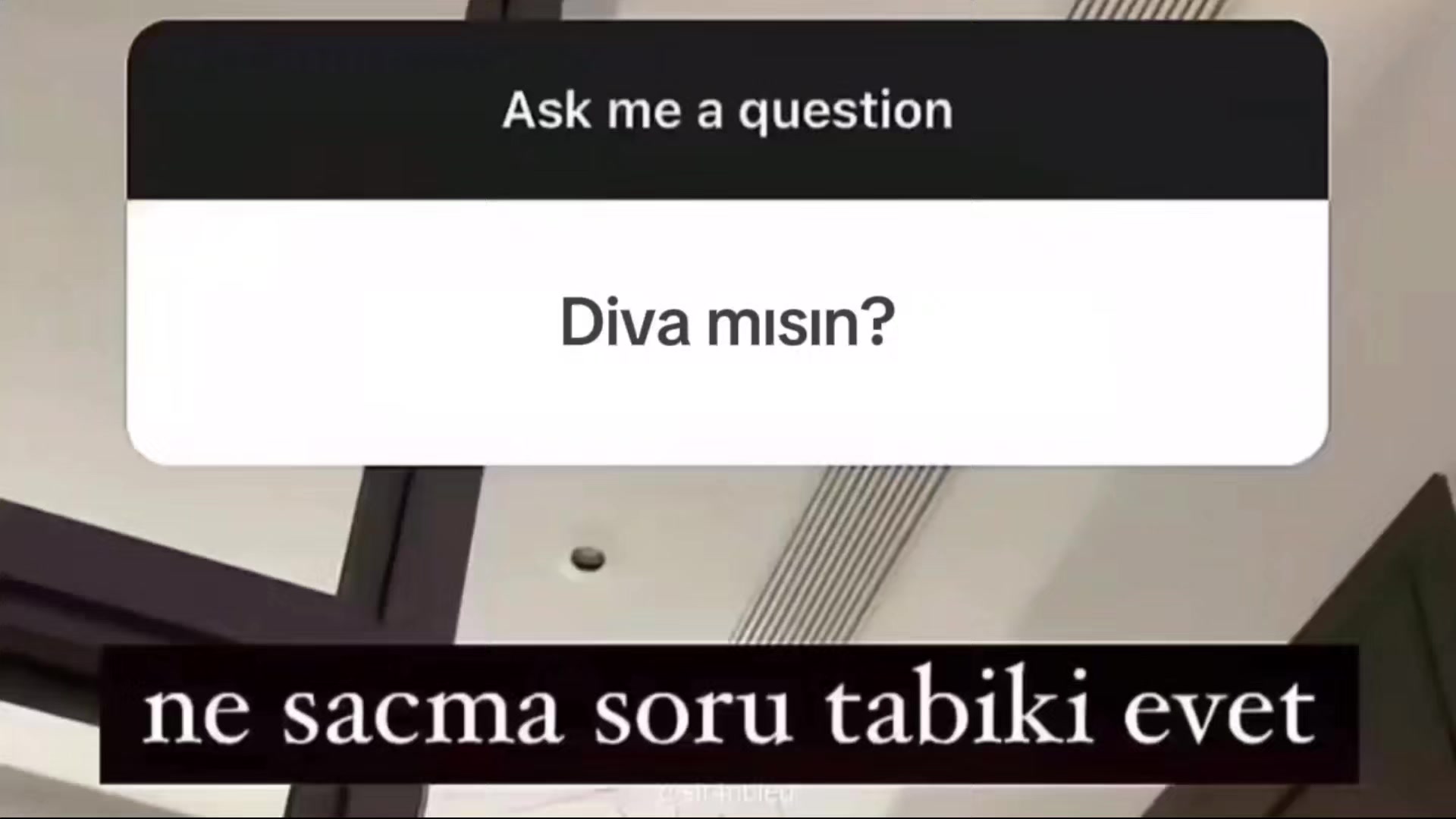 @cansiinnn