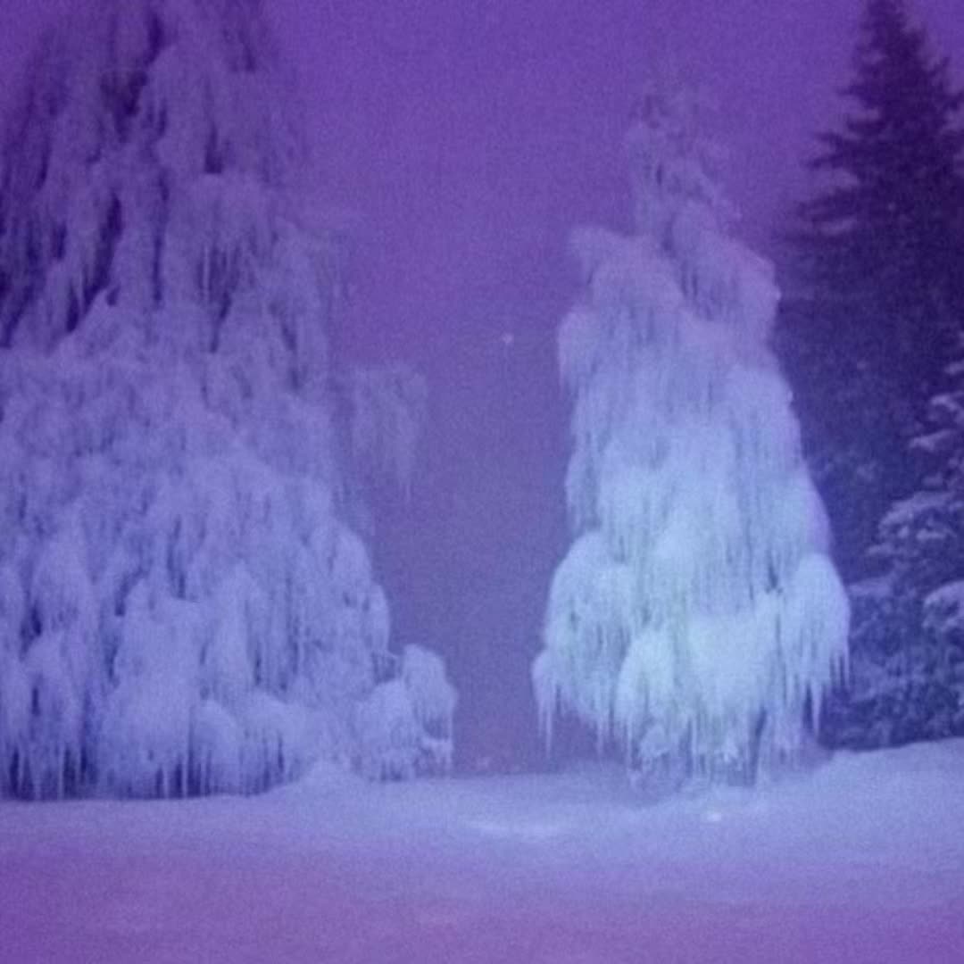 @velvetveins_