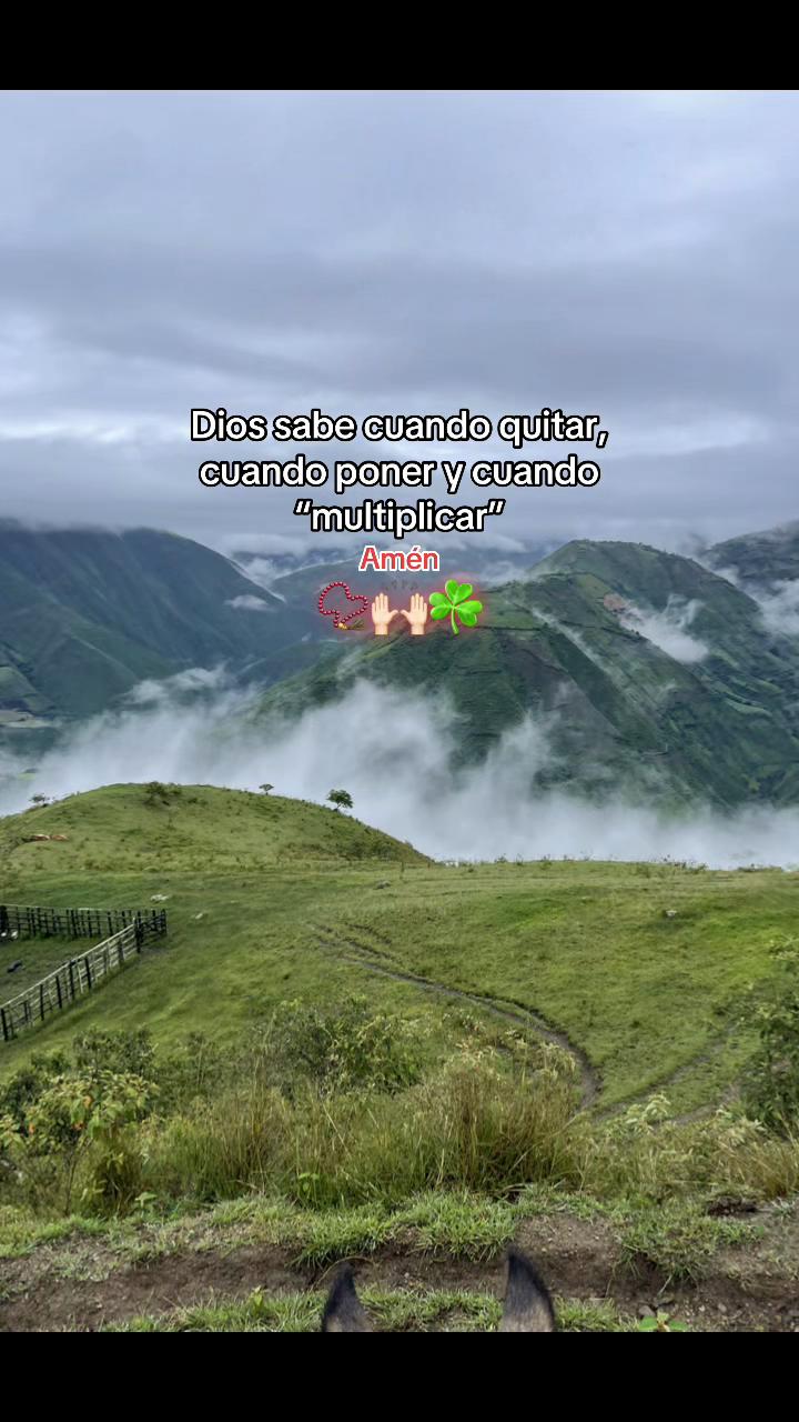 @彡[ʀᴏʟɪᴛᴀꜱ ツ࿐