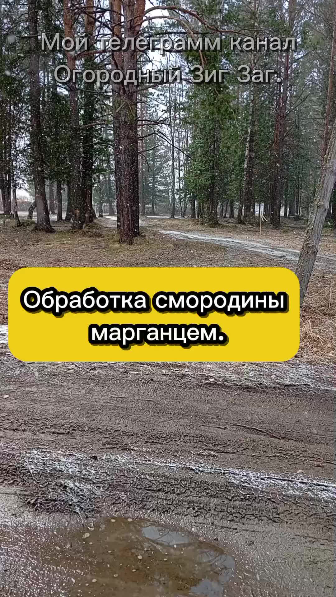 @Ogorodozigzag