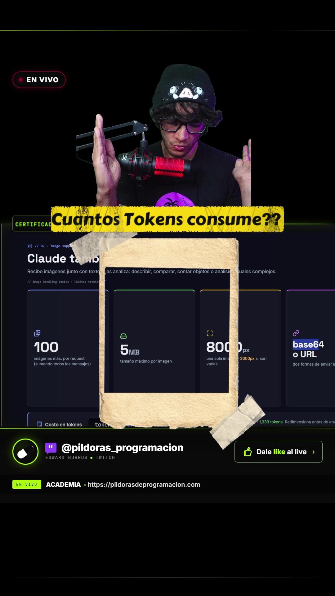 @p&iacute;ldoras de programacion
