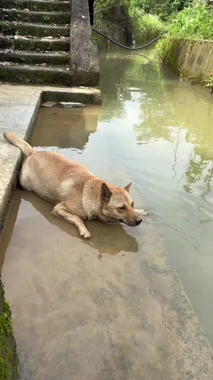 @🇲🇽MAYOREO QIHUO MÉXICO🇲🇽