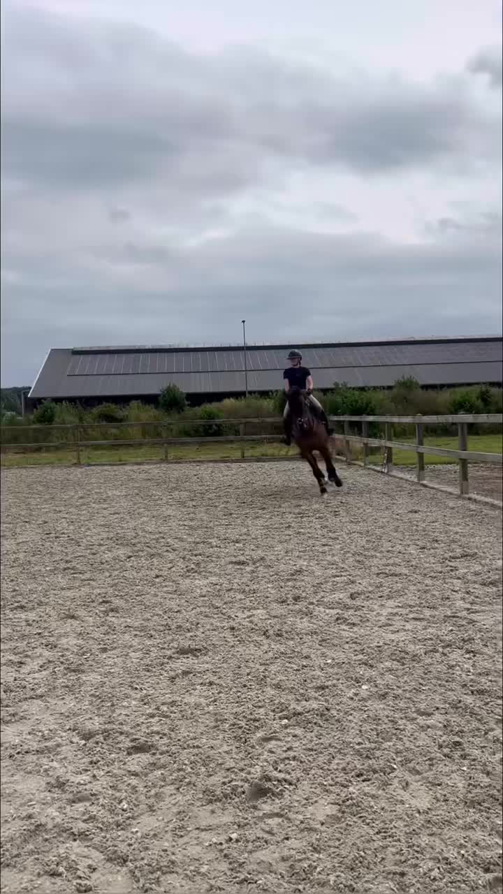 @Desy🐴