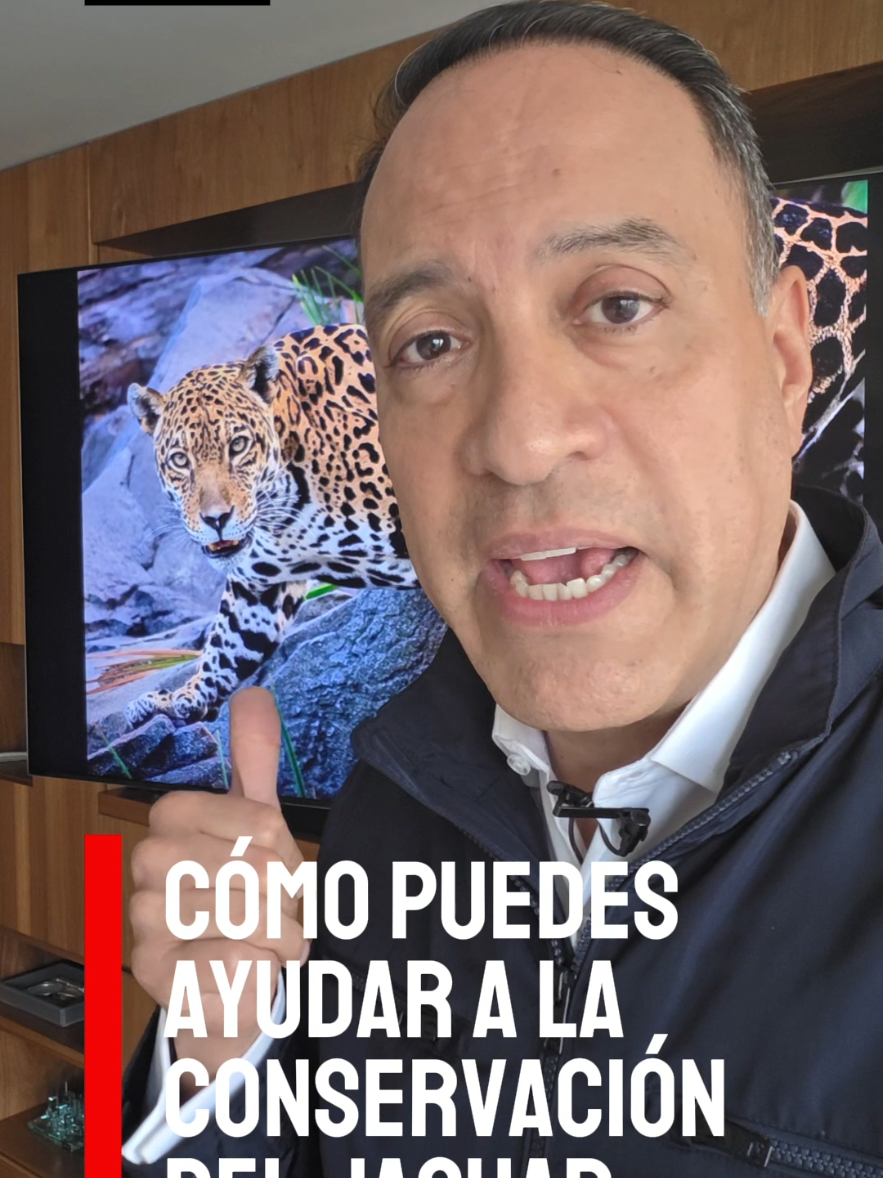 @SoyCarlosMota