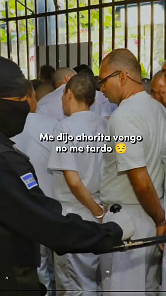 @El Salvador 503 🇸🇻