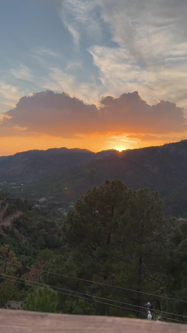 @Shumaila Akhtar