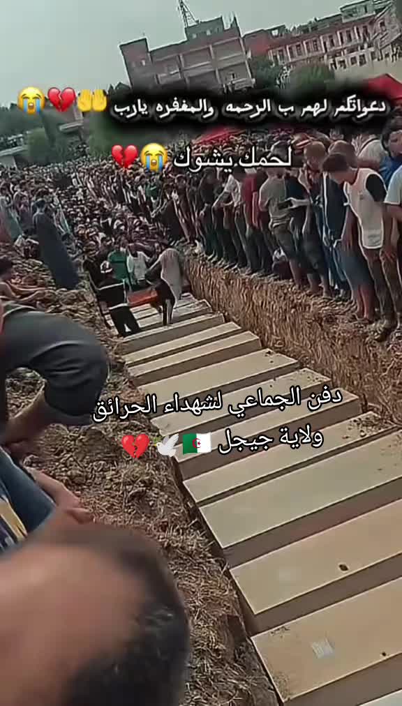 @معتز شيخ جبل👑🇩🇿⚓🔥