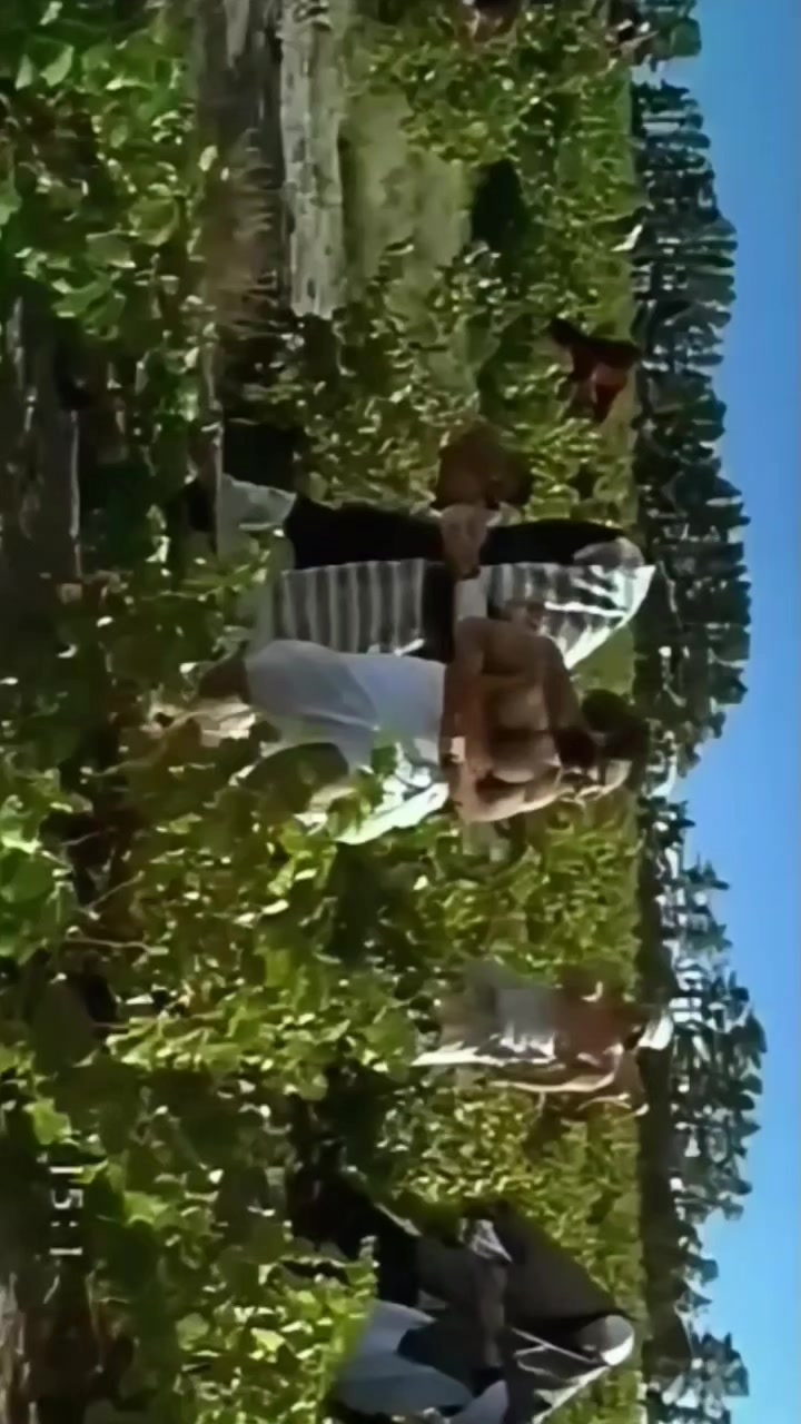 @Sergio Ramirez