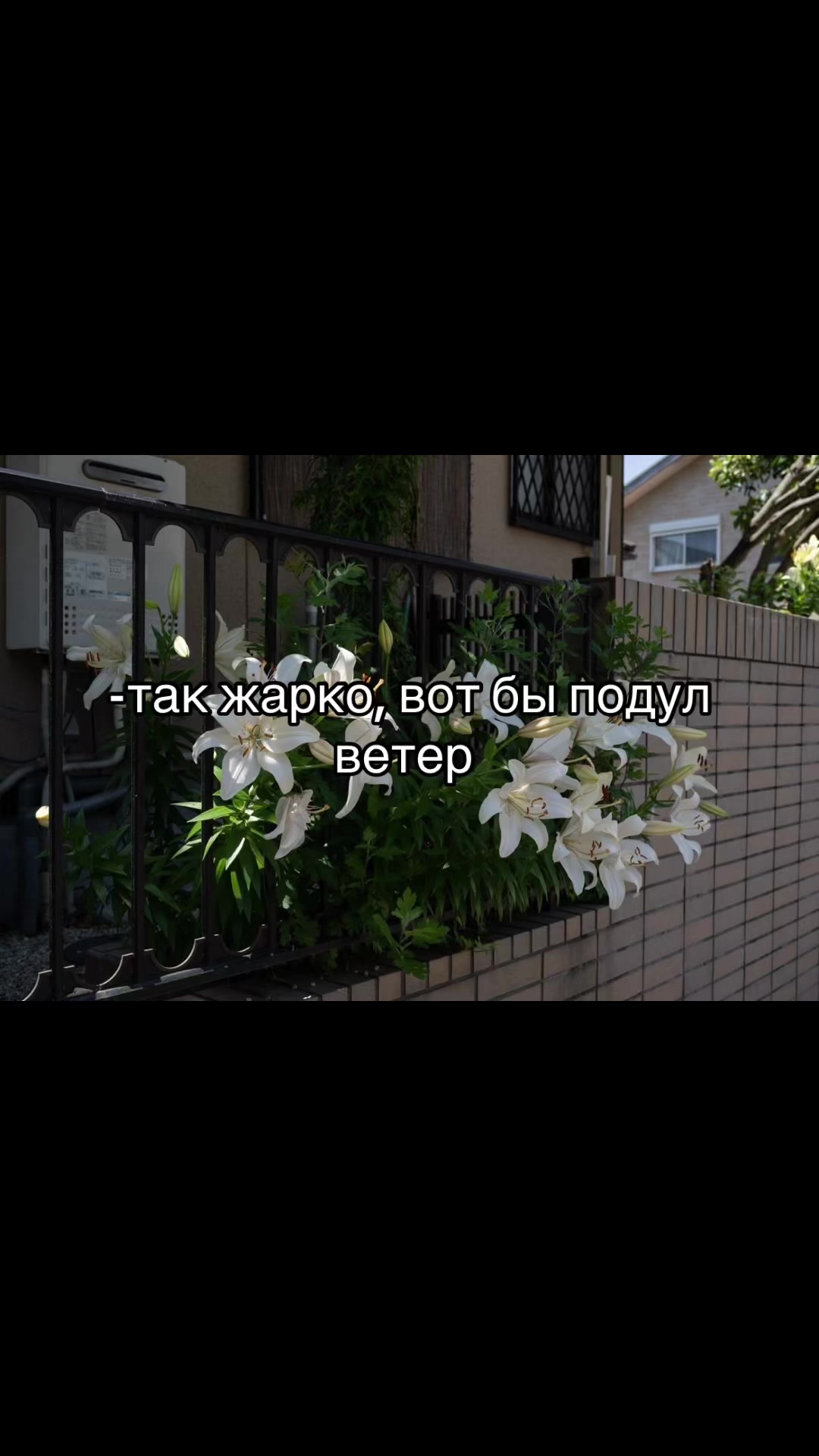 @лэйн