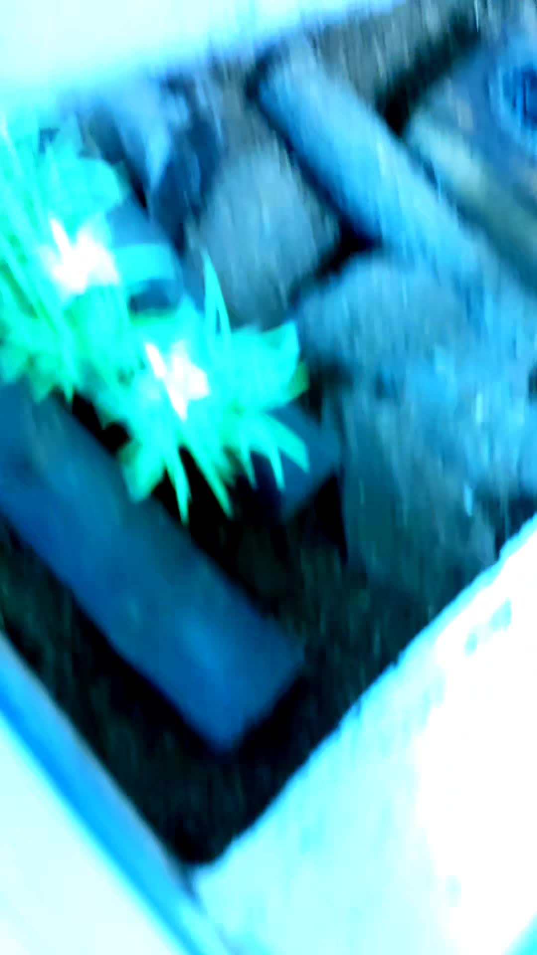 @행복한 뀨