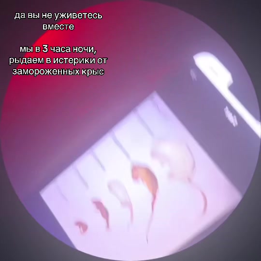 @hdhfje 200