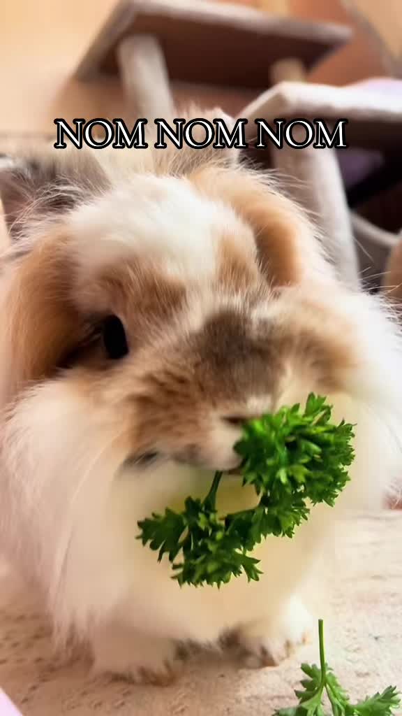 @snackqueenandsir