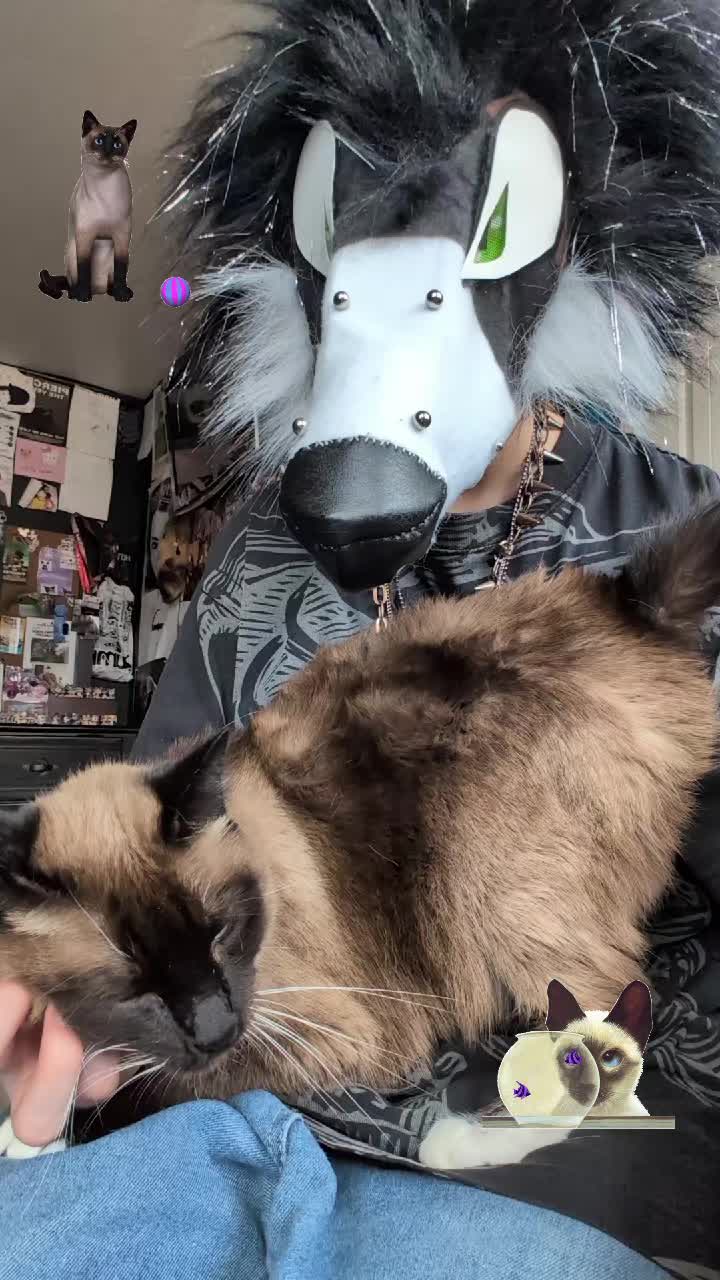 @PIMPZOI