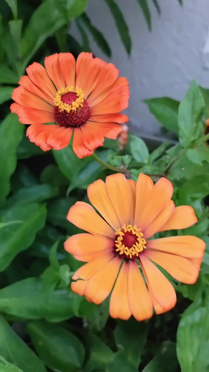 @Autumn