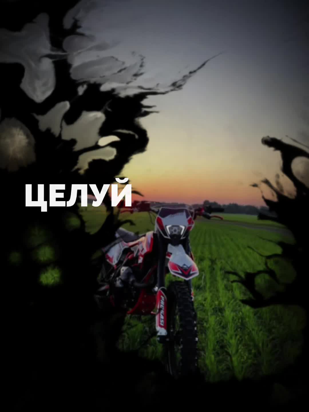 @лимончик 🍋