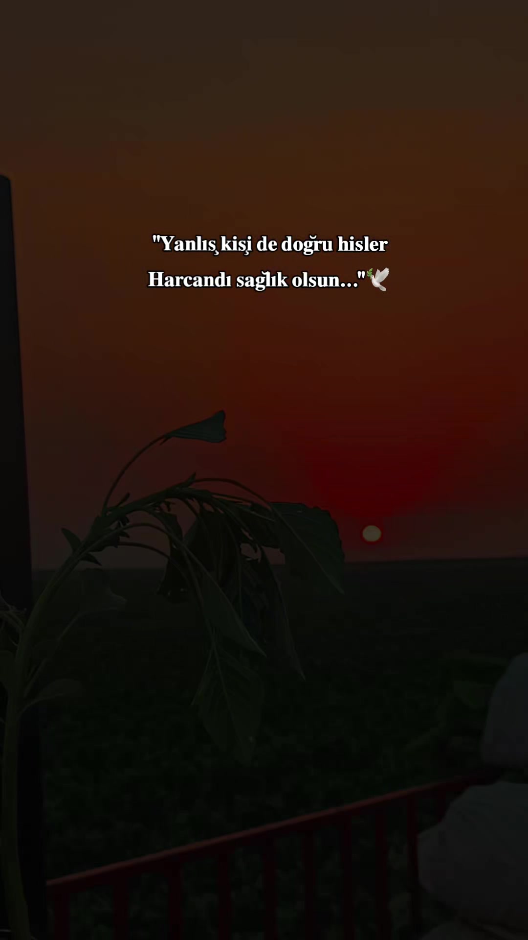 @𝐒 𝐓 𝐄 𝐑 𝐊 ✷
