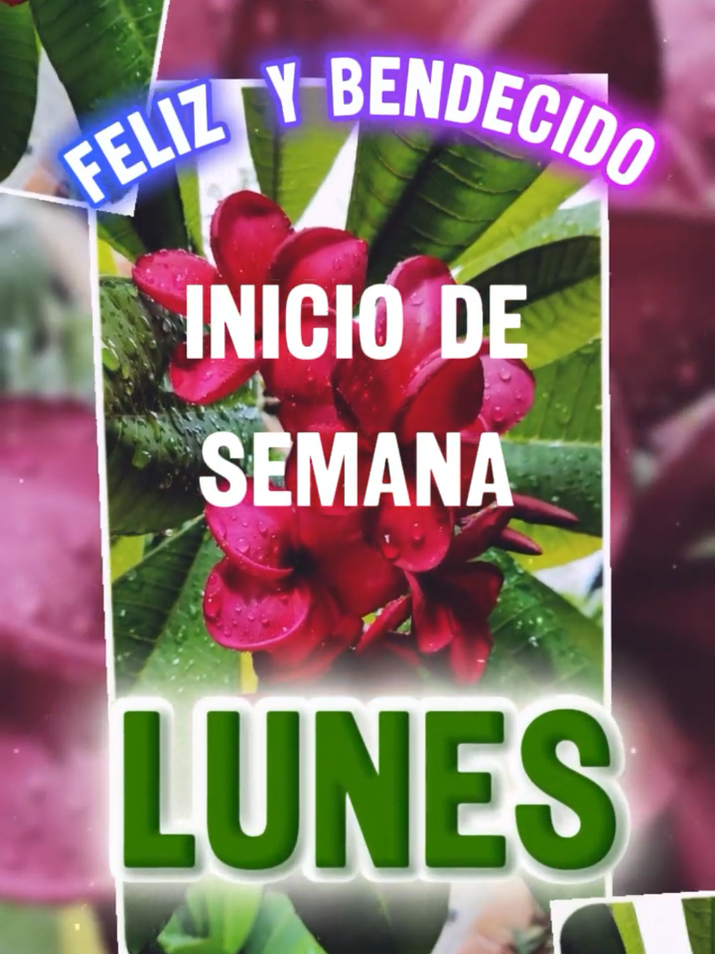 @Arely Mendoza Frases bonitas