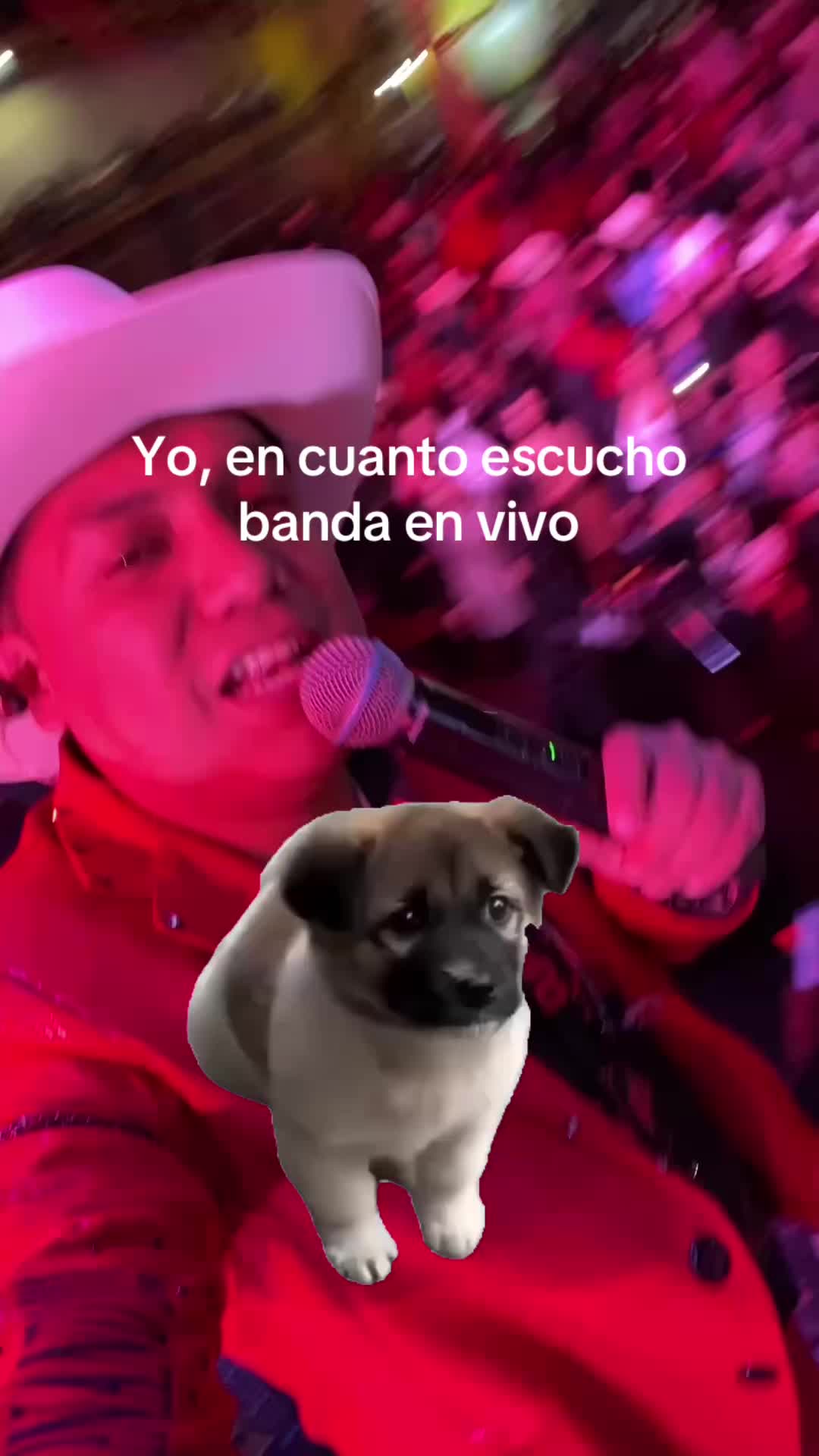 @౿ᥣꪱᜒ ⚜️