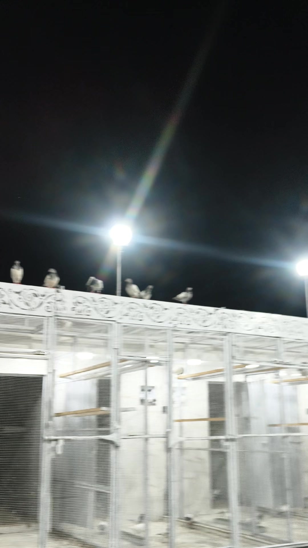 @ڈیرہ جٹاں دا