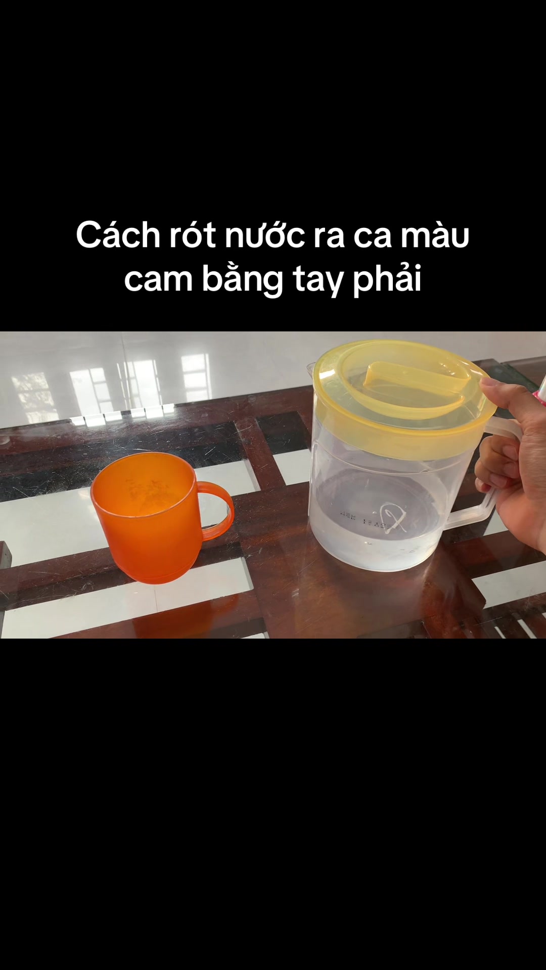 @Mèo thông thái