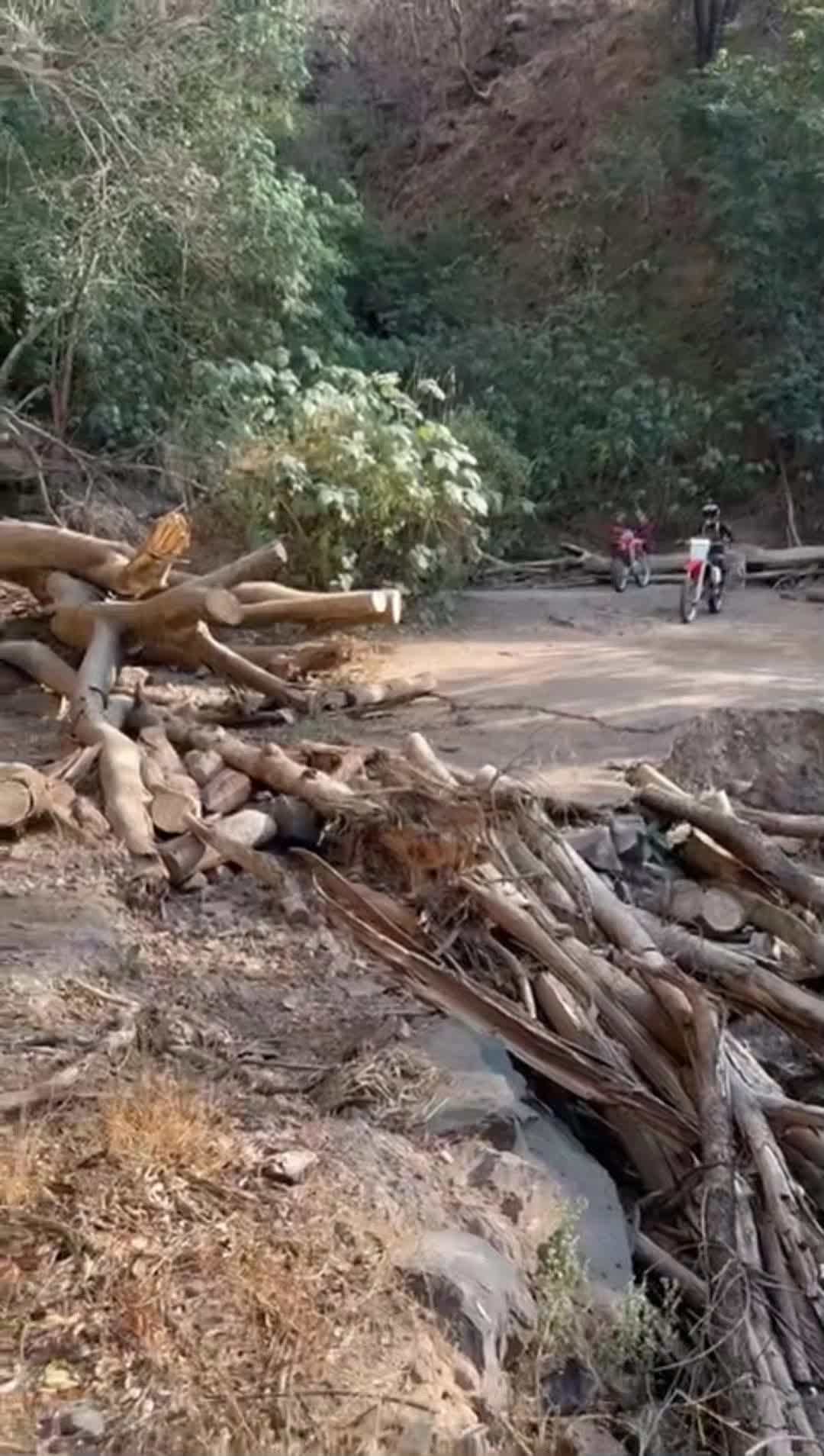 @Leobardo Hern&aacute;ndez