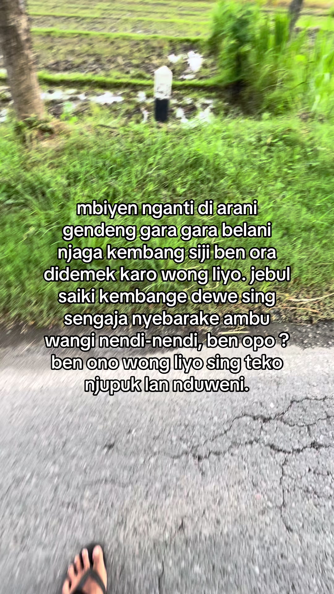 @UJANG BAN YK