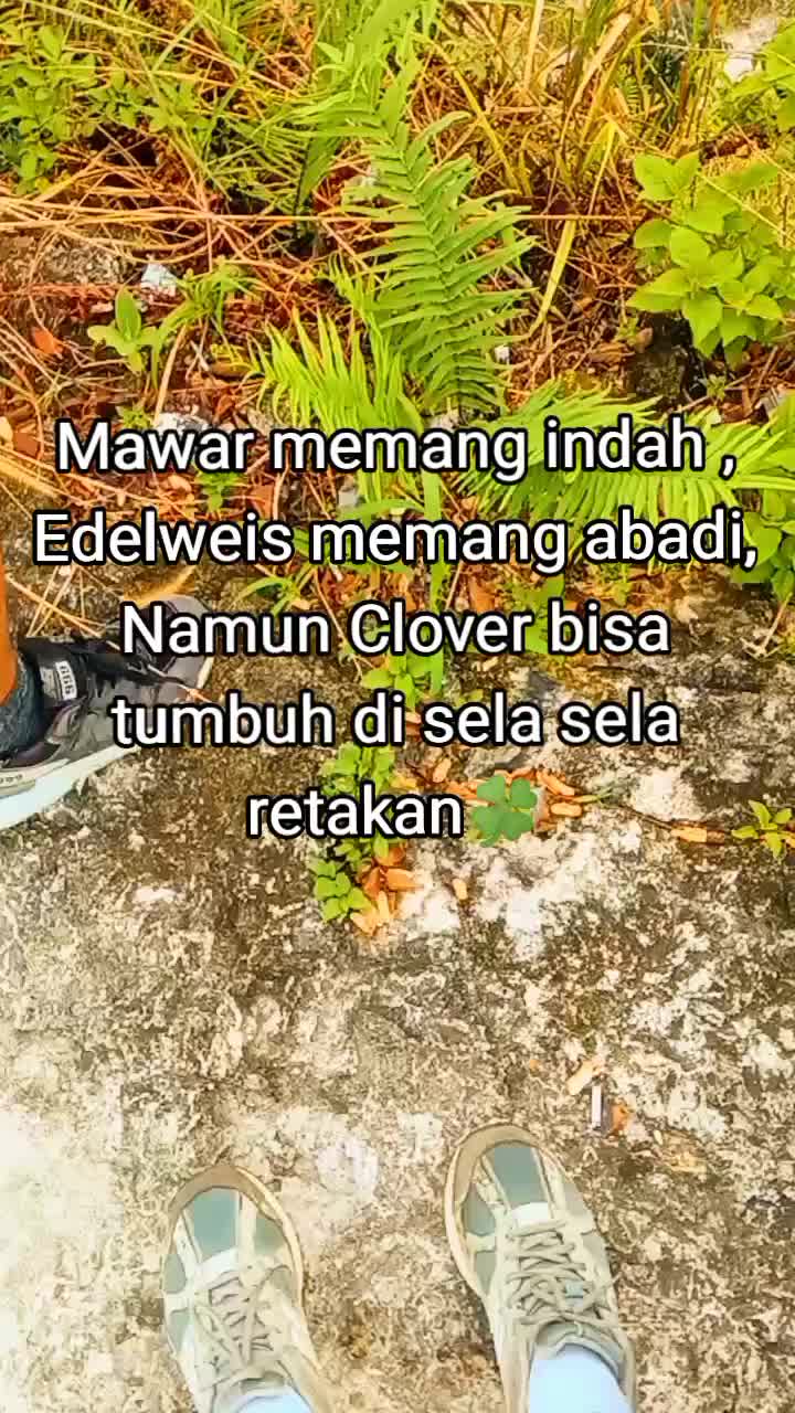 @HujanMataPisau