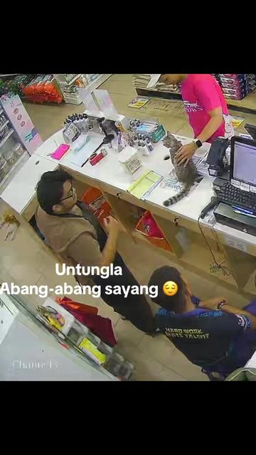 @Cats Hometown Pet Shop Klang
