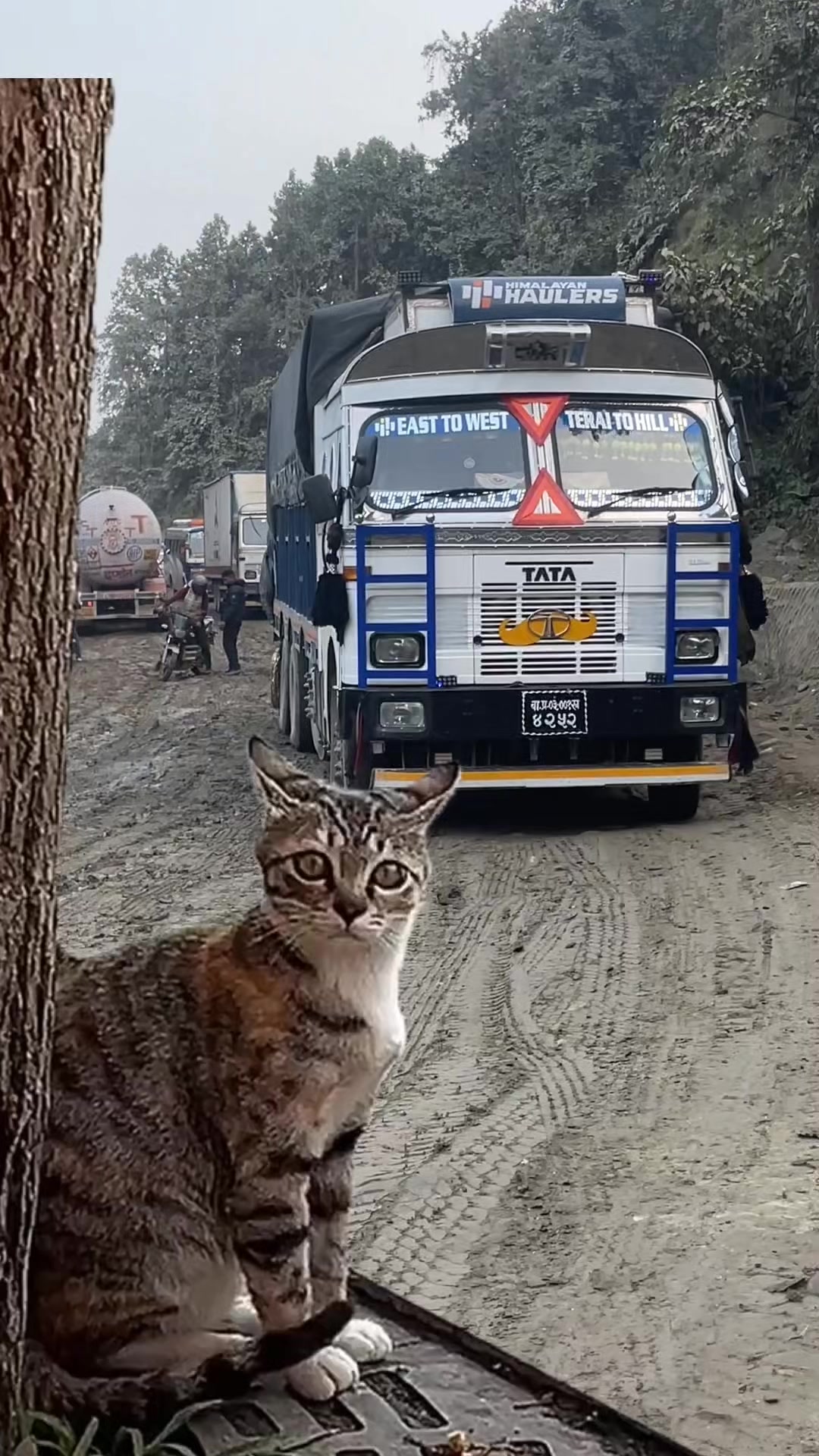 @Himalayan Haulers