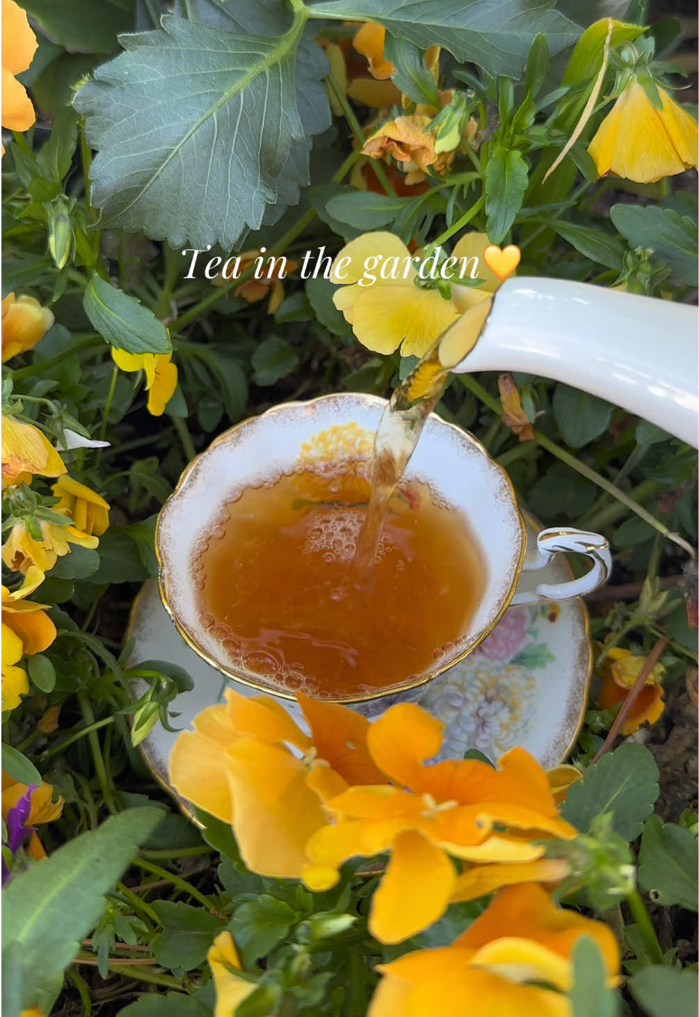 @Mariya | teacup girlie