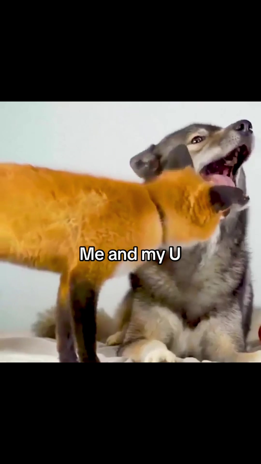 @🦇🪦🍥